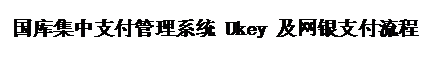 文本框: 国库集中支付管理系统Ukey及网银支付流程图